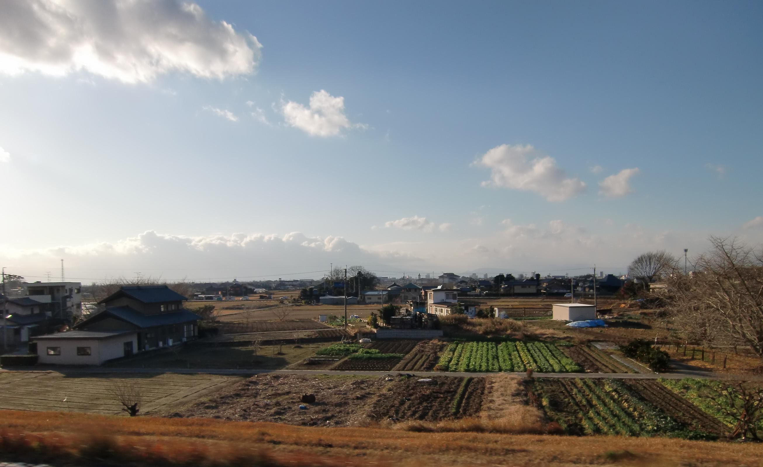 羽島市空中散歩 羽島ナビ 正木町の町並み 景色